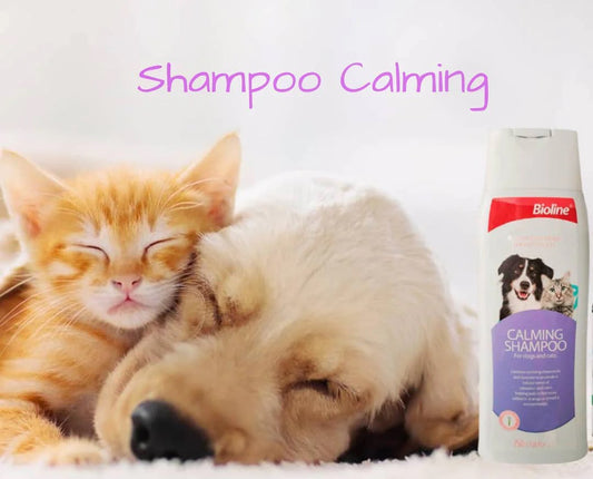 Shampoo Relajante para Mascotas